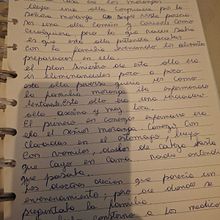 Mi proyecto del curso: Gimnasio de escritura: de la hoja en blanco a la práctica cotidiana . Creative Writing, Creativit, Narrative, Stor, telling, and Writing project by Kenia Arancibia - 01.15.2025