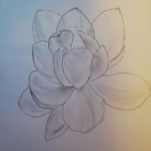 Fleur . Drawing project by jasmine973 - 01.16.2025