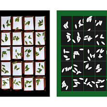 Leaves Experimental Design. Un progetto di Design e Graphic design di Andreas Marcel - 17.01.2025