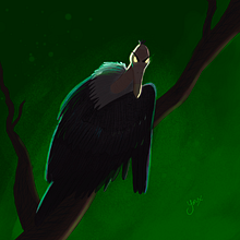  Vorn the vengeful vulture . Digital Illustration project by olayinxx21 - 01.17.2025