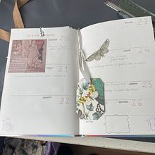 Arte e lifestyle  2025. Een project van  Tekening,  H, lettering, Traditionele illustratie,  Belettering y Management En Productiviteit van Leonor Capelo - 20.01.2025