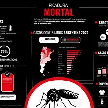 Infografía dengue. Un proyecto de Diseño gráfico de Ailen Alonso - 20.01.2025