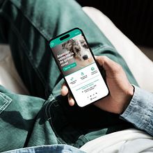 Mi Proyecto de Curso. . App Design, Digital Design, Graphic Design, Interactive Design, Mobile Design, Web Design, UX / UI, and Digital Product Design project by Pilar Jáuregui - 01.20.2025