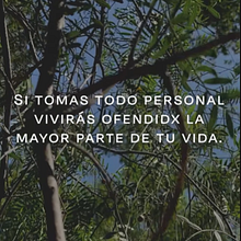 Reel de Instagram con Frases para reflexionar.. Un progetto di Meditazione e Animazione di marianaixchel - 21.01.2025