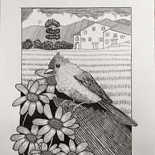 Cottage and bird. Un proyecto de Dibujo artístico, Dibujo, Ilustración naturalista				, Sketchbook y Bocetado de MARIA TARRAGO MARTI - 21.01.2025