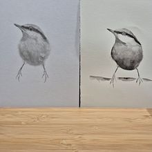 Artistic Watercolor Techniques for Illustrating Birds- Brush Strokes. Projekt z dziedziny  R, sunek,  Sztuki piękne i Craft użytkownika Paolo - 21.01.2025