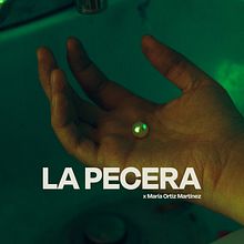 LA PECERA . % María Ortiz tarafından hazırlanan Fotoğrafçılık, Sanat Yönetmenliği, Ve Konsept Sanatı projesi - 01.21.2025
