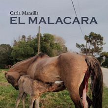 EL MALACARA. Een project van Schrijven, Storytelling, Verhaallijn, Fictie schrijven y Creatief schrijven van carmansillac - 21.01.2025