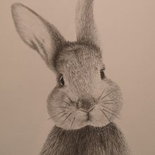 Innocence and Curiosity. Un progetto di Illustrazione tradizionale, Disegno, Disegno a matita e Disegno realistico di stepney - 22.01.2025