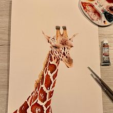 "El Alma de la Sabana" . Seni Rupa, Ilustrasi Naturalistik, Lukisan, Dan Lukisan Cat Air proyek oleh Anna Doroteo - 01.22.2025