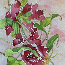 Gloriosa vine. Fine Arts, Painting, and Watercolor Painting project by Rose - 01.23.2025