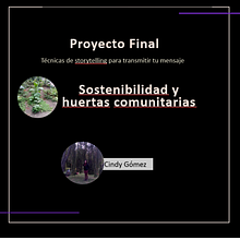 Proyecto huertas urbanas Cindy G.. Communication, Marketing, Stor, telling, Cop, writing, and Content Marketing project by Cindy Gómez - 01.20.2025