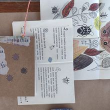 caderNinhos de observação da natureza - NiDo Estúdio. Projekt z dziedziny Craft, Ilustracje dla dzieci, Kreat, wne zabaw, z dziećmi, Trad, c, jna ilustracja i Pisanie użytkownika Denise Paspardelli - 23.01.2025