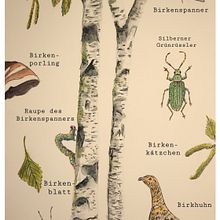 Abschlussprojekt vom Kurs *Botanische Aquarellmalerei von Naturmotiven*. Botanical Illustration, Fine Arts, Naturalistic Illustration, Painting, and Watercolor Painting project by Marleen Utech - 01.24.2025