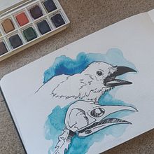 Watercolour and graphite experiments. Traditional illustration, Watercolor Painting, Sketchbook, Pencil Drawing, and Naturalistic Illustration project by Elena - 01.24.2025