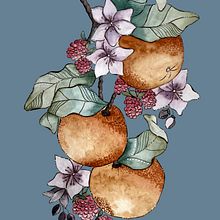 Proyecto de dibujo y composición naturalista: Naranjitas. Projekt z dziedziny  R, sunek, Trad, c, jna ilustracja, Ilustracja naturalist, czna i Malowanie akwarelą użytkownika Isabel Quiroga Castro - 24.01.2025