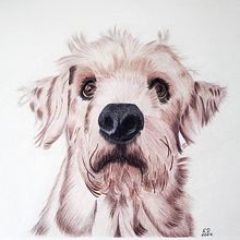 Anibal en lápices de colores. Traditional illustration, Drawing, and Colored Pencil Drawing project by Estefania De La Concha - 01.24.2025