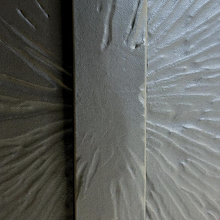 Mycology notebook. Bookbinding project by Katerina Stryckova - 01.25.2025
