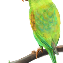 Diny. Traditional illustration, and Drawing project by Ashely Garcia - 01.25.2025
