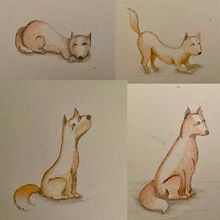 Las aventuras de un coyote Ein Projekt aus dem Bereich Design von Figuren, Kinderillustration, Zeichnung und Bleistiftzeichnung von Ivette Castillejo - 25.01.2025