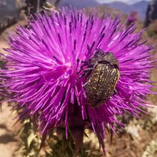 A walk around Plakias, Crete. Digital Photograph, Outdoor Photograph, Photographic Composition, Photograph, Photograph, Post-production, and Social Media project by Stefanie Hardick - 01.26.2025