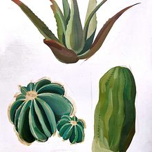 Succulents - Suculentas. Acr, lic Painting, and Painting project by Paula Jiménez - 01.27.2025