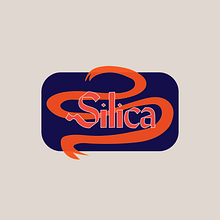 Silica Ceramics Studio. Un progetto di Comunicazione, Cop, writing, Scrittura e Social media di Jaz - 27.01.2025