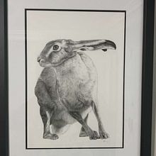Mr Hare. Un progetto di Belle arti di rachel_foley - 28.01.2025
