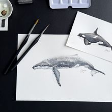 Kurs - Wale in Aquarell. Un progetto di Illustrazione naturalistica, Pittura, Pittura ad acquerello e Belle arti di black4m - 28.01.2025