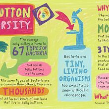 Bellybutton biodiversity. Digital Illustration, and Children's Illustration project by valdraws - 01.28.2025