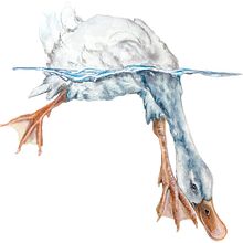 Goose Swimming. Un progetto di Disegno realistico, Illustrazione tradizionale, Illustrazione naturalistica e Pittura ad acquerello di Sabine Nimz - 29.01.2025