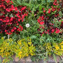 Posibilidades infinitas. Escrita, e Escrita criativa				 projeto de Farah - 29.01.2025