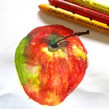 Mele!. Drawing, Traditional illustration, Ink Illustration, Painting, Watercolor Painting, and Naturalistic Illustration project by Laura Piras - 01.30.2025