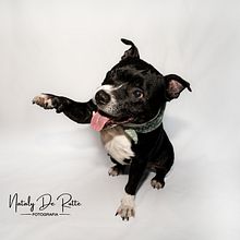 HOPE Ein Projekt aus dem Bereich Fotografie, Studiofotografie, Porträtfotografie, Lifest, le-Fotografie, Dokumentarfotografie und Interieurfotografie von Nataly De Rutte - 30.01.2025