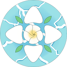 Diseño del logo y la portada. Een project van Traditionele illustratie y Digitale illustratie van Jhon Rojas - 01.02.2025