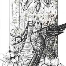 Colibrí en jardín. Un progetto di Disegno artistico, Disegno, Illustrazione con inchiostro, Illustrazione naturalistica, Sketchbook e Bozzetti di Diana Carolina Sierra Cárdenas - 02.02.2025