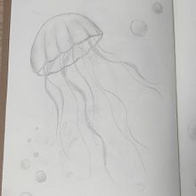 LDE / Medusa. Sketching project by Marta Guerrero Hernández - 02.02.2025