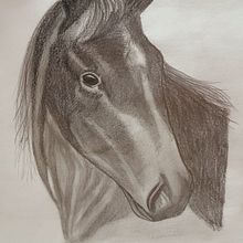 Caballo con lunar blanco . Drawing, Fine Arts, Naturalistic Illustration, Pencil Drawing, and Realistic Drawing project by Shirley Zulay Aguilar Guamán - 02.03.2025