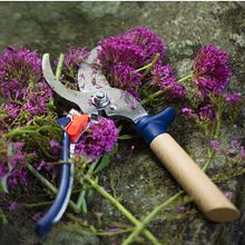 Find Opinel Knives for Bushcraft at Boundary Waters Catalog. Arts, and Crafts project by Theodore Meyer - 02.04.2025