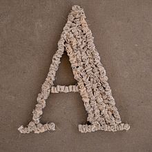Lettering creativo. Sewing project by Il Ricamificio - 02.07.2025