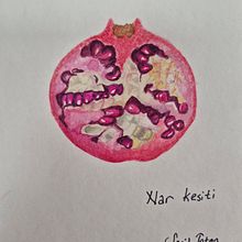 My first fruit drawing and painting thanks to Julia Trickey. Projekt z dziedziny  Sztuki piękne,  R, sunek, Trad, c, jna ilustracja,  Malarstwo, Malowanie akwarelą, R i sunek botaniczn użytkownika Secil Totan - 07.02.2025