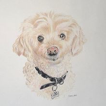 Proyecto final: Terry . Traditional illustration, and Naturalistic Illustration project by Jiapsi Vázquez Cardoso - 02.07.2025