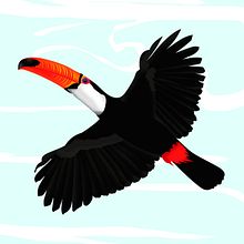 TUCANO. Un progetto di Illustrazione digitale, Illustrazione infantile e Illustrazione vettoriale di Eduar Montesinos - 08.02.2025