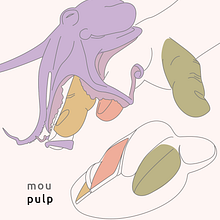 Bionic Ergonomic Mouse | Inspired by Nature. Digital Illustration, and Product Design project by Thamara Anún - 02.09.2025