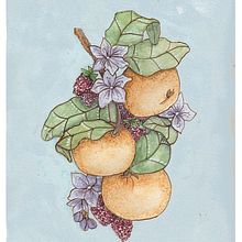 my course work  Ein Projekt aus dem Bereich Malerei mit Acr, l, Traditionelle Illustration, Aquarellmalerei, Botanische Illustration, Zeichnen mit Buntstiften und Illustration mit Tinte von Wendy Johnston - 09.02.2025