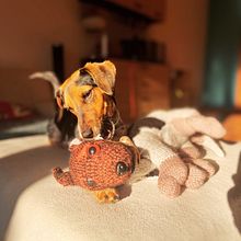 Tricolor Puppy. DIY, Fiber Arts, Knitting, and Textile Design project by dana_retova - 02.10.2025