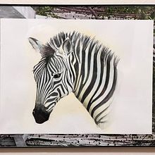 My African Zebra. Watercolor Painting project by Marilyn Allen - 02.10.2025