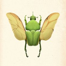 Proyecto de creación. Técnicas y estilos de ilustración con procreate. Projekt z dziedziny R, sunek c, frow, Trad, c, jna ilustracja, Ilustracja c i frowa użytkownika Carolina Rivera - 11.02.2025