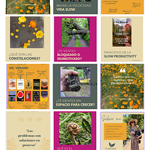 Cultivate Coaching. Projekt z dziedziny Projektowanie c, frowe, Projektowanie graficzne, Instagram, Marketing i Portale społecznościowe użytkownika Lili Illns - 11.02.2025