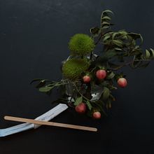 Winter still life. Photographic Composition, Photograph, and Digital Photograph project by Julia Kulikova - 02.12.2025